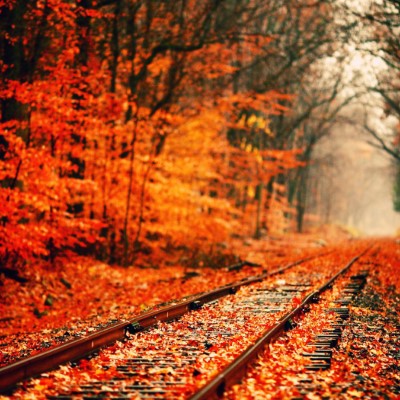 1920 x 1080 HD Wallpapers 2771